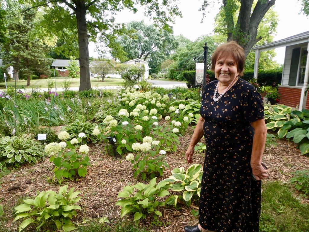 ramute in the garden